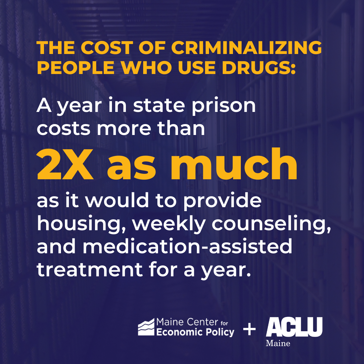 The Cost of Criminalizing 